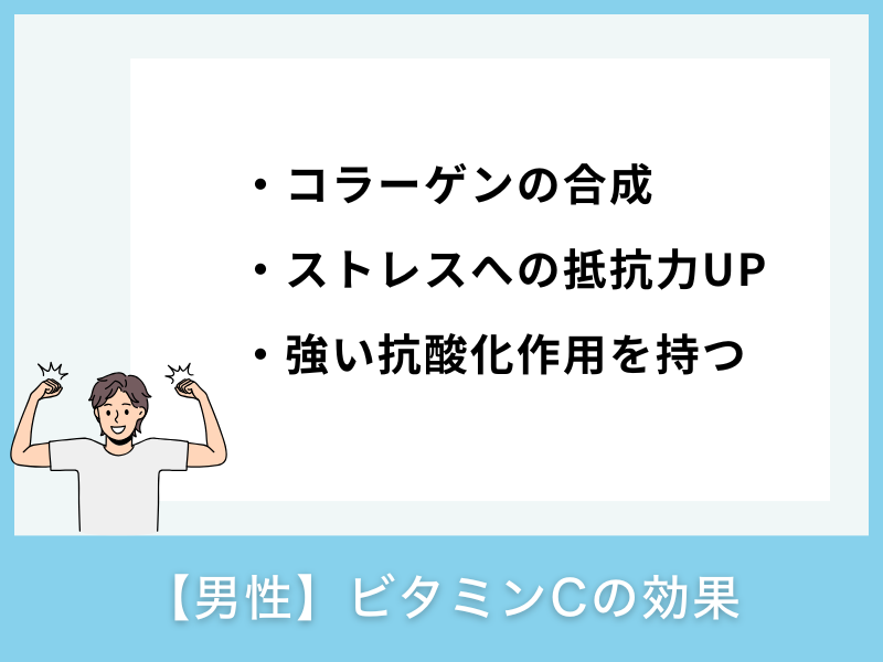 【男性】ビタミンCの効果