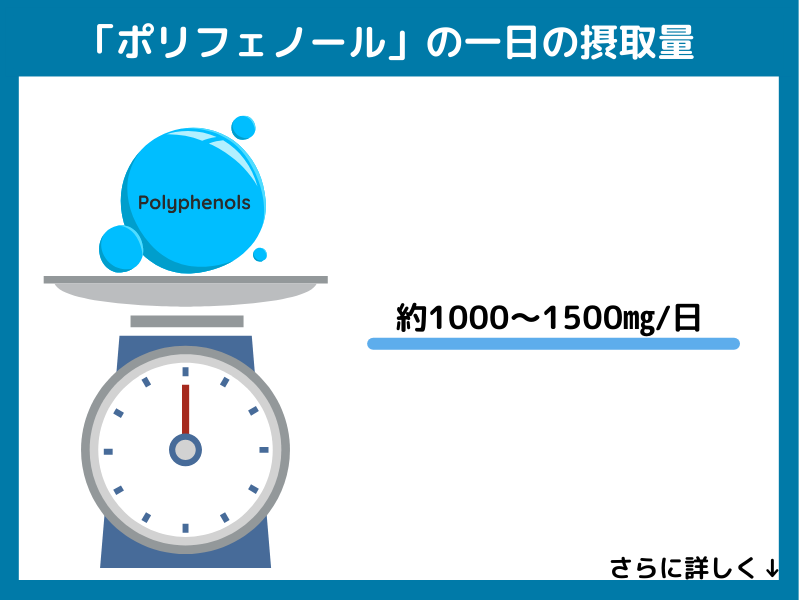 ポリフェノールの一日の摂取量