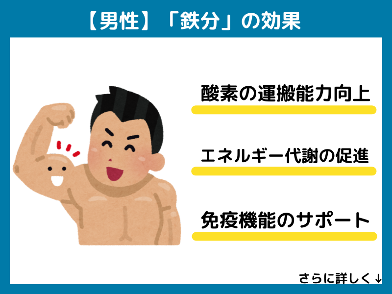 【男性】鉄分の効果