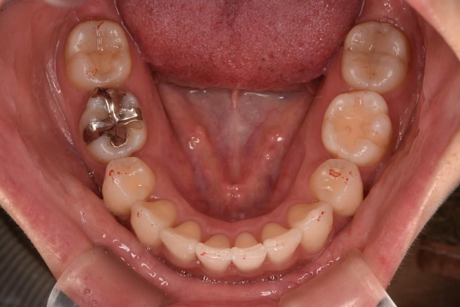 シャングリラデンタル横浜歯科矯正歯科