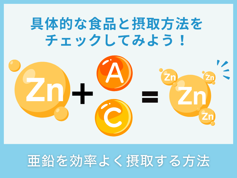 亜鉛の効率的な摂取方法