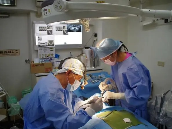 医療法人社団再生会　ケイデンタルオフィス