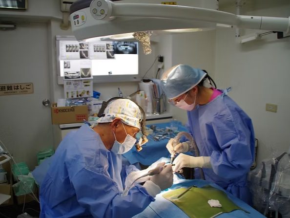 医療法人社団再生会　ケイデンタルオフィス