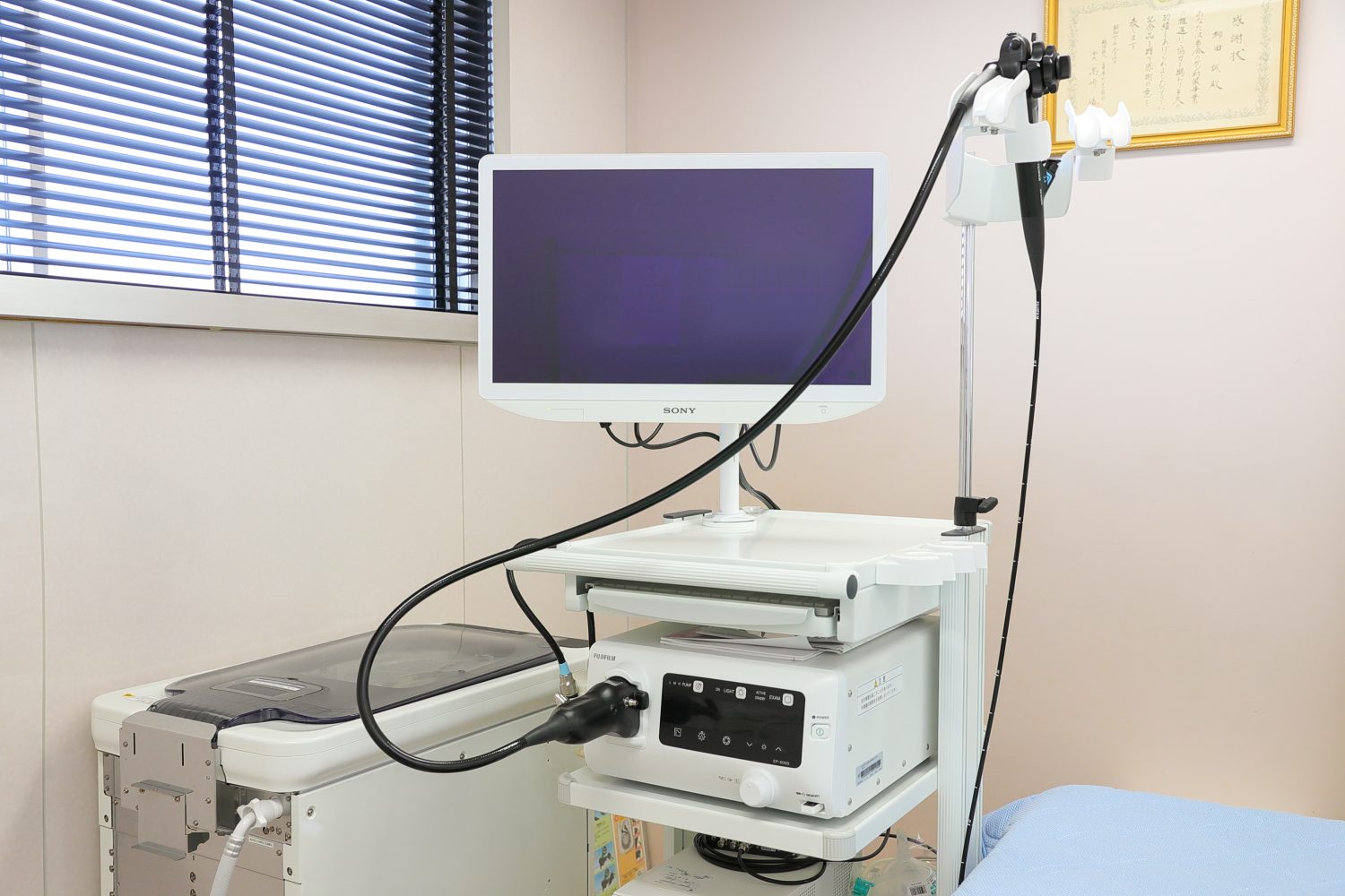 柳田内科胃腸科