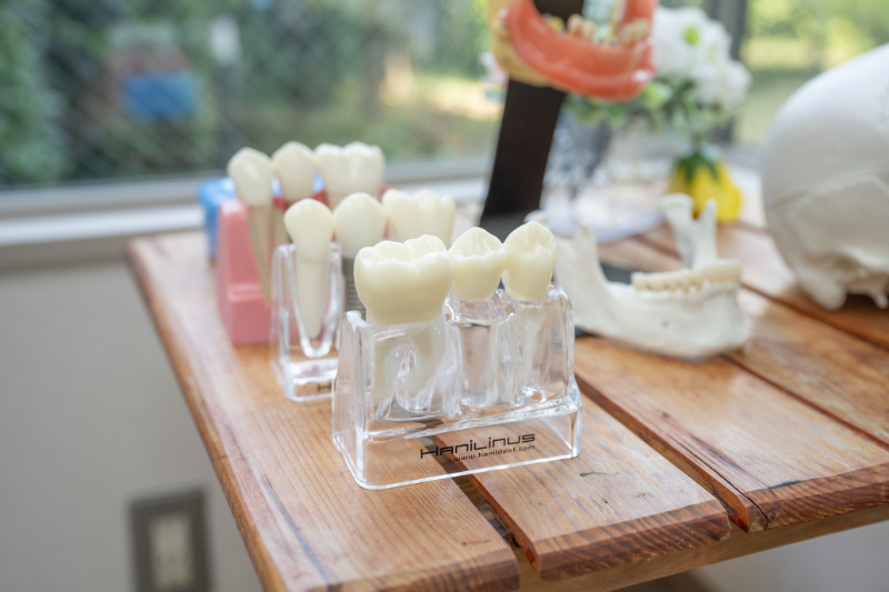 小沢歯科クリニックphoto