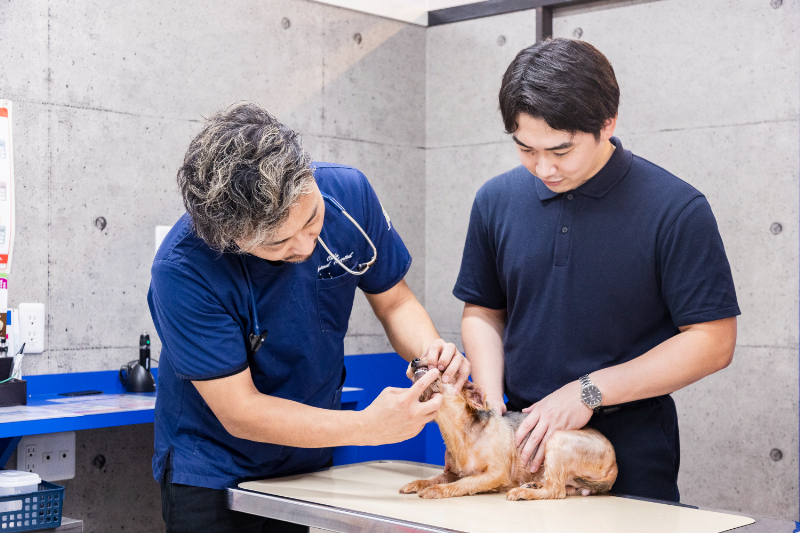 大庭動物病院 清水病院photo
