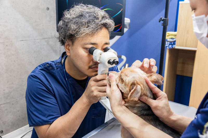 大庭動物病院 清水病院photo