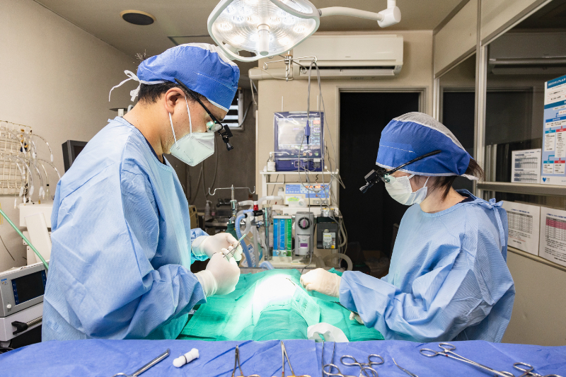 大庭動物病院 清水病院photo