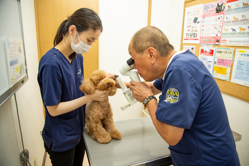 大庭動物病院 焼津病院photo