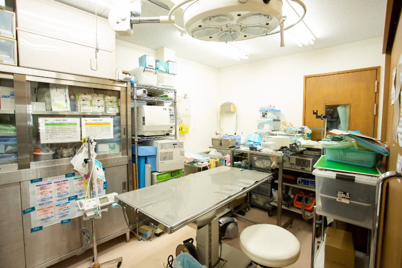 大庭動物病院 焼津病院photo