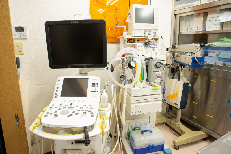 大庭動物病院 焼津病院photo