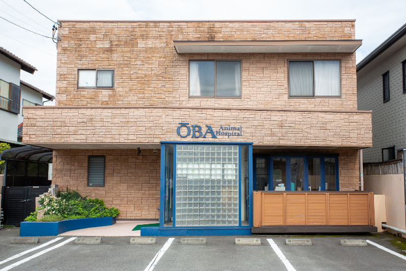 大庭動物病院 焼津病院photo