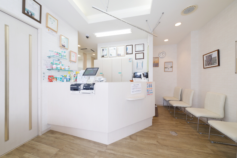 しらかば歯科クリニックphoto