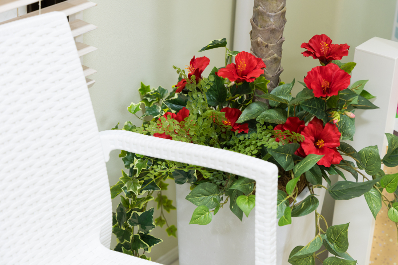 宝田歯科医院photo