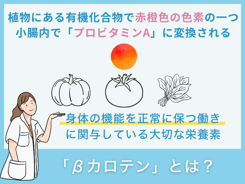 「βカロテン」とは？