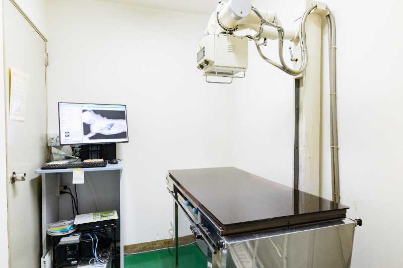 大庭動物病院 清水病院photo