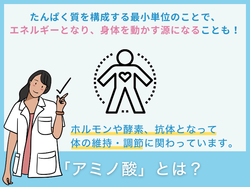 「アミノ酸」とは?