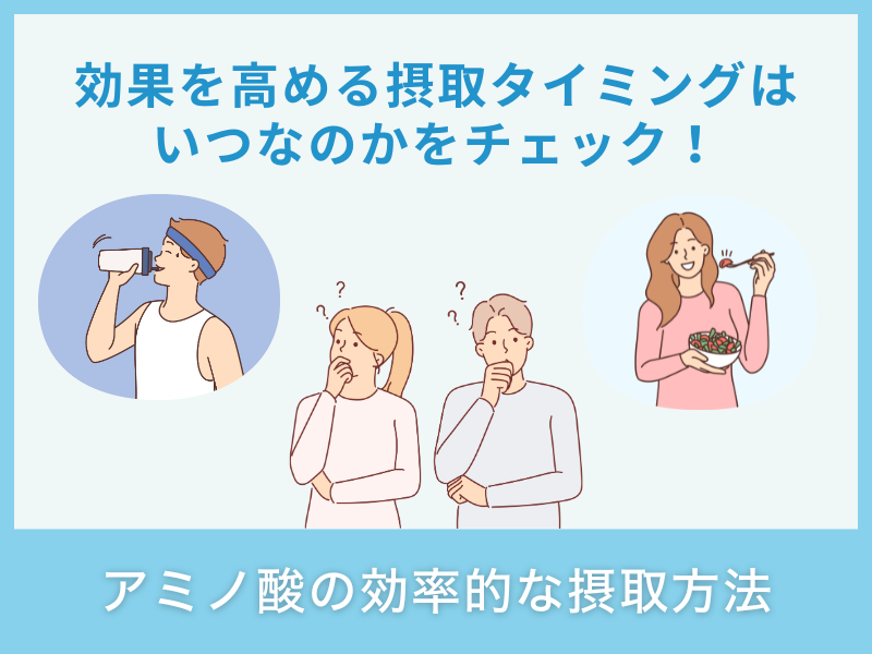 アミノ酸の効率的な摂取方法
