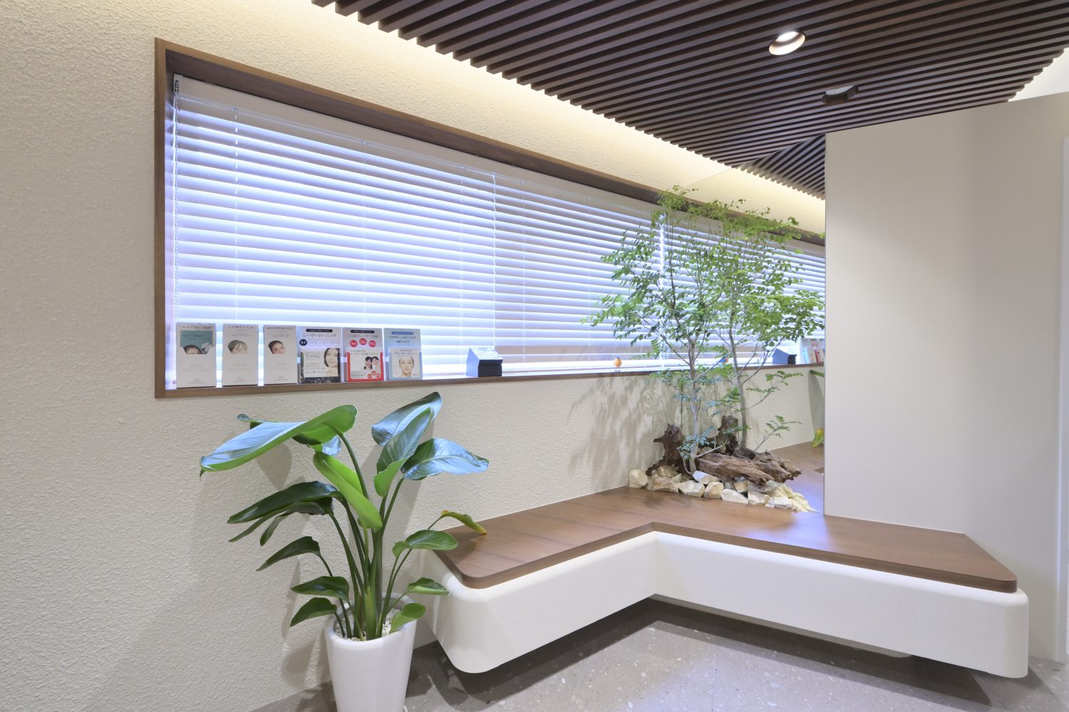 眠れるスキンクリニック田町photo