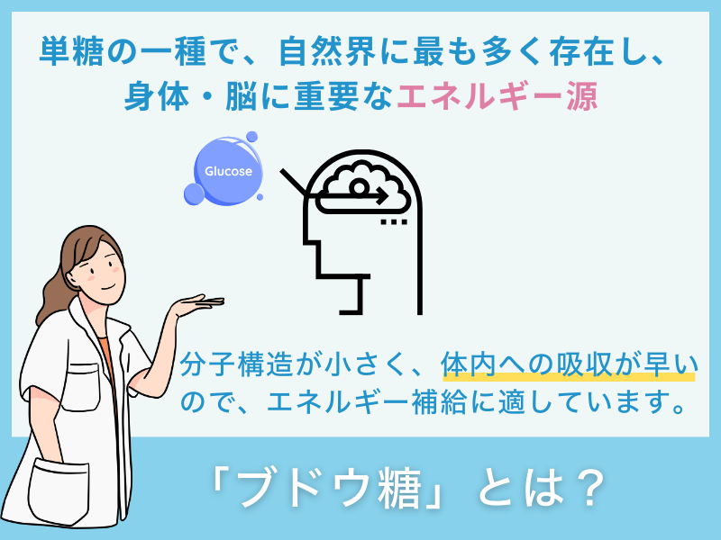 「ブドウ糖」とは？