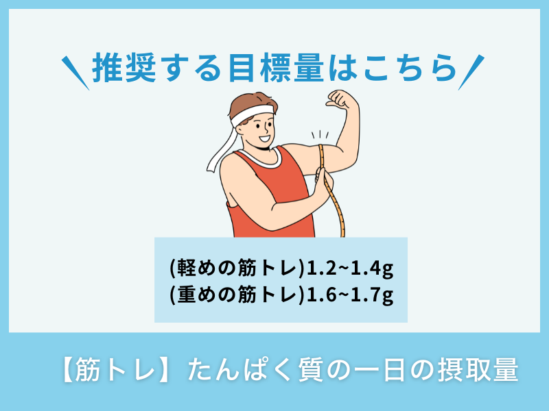 【筋トレ】たんぱく質の一日の摂取量