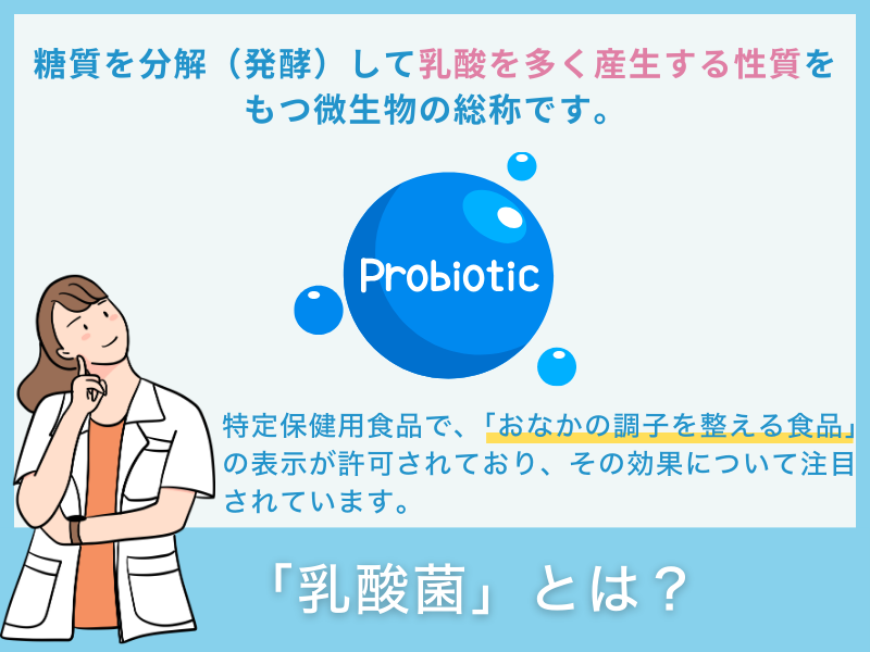 「乳酸菌」とは？