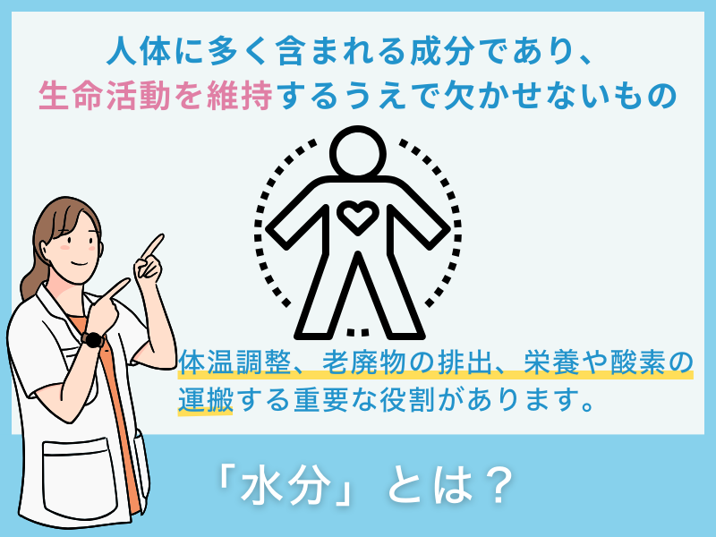 「水分」とは？