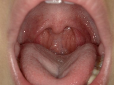 チャイルドしかハウス