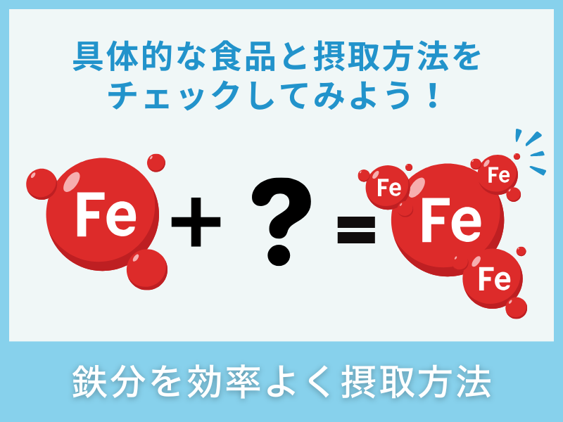 鉄分の効率的な摂取方法