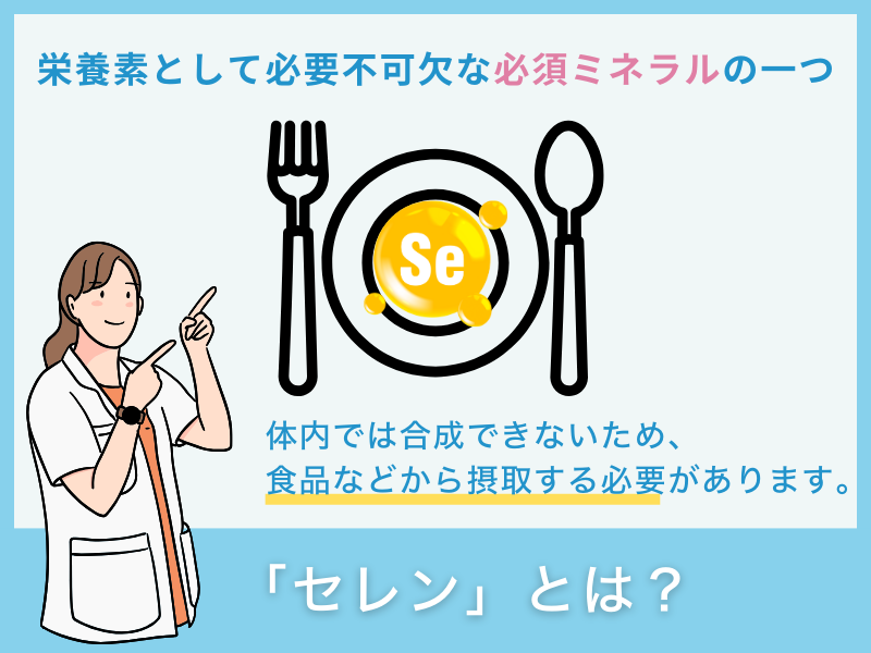 「セレン」とは？