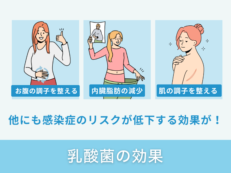 乳酸菌の効果