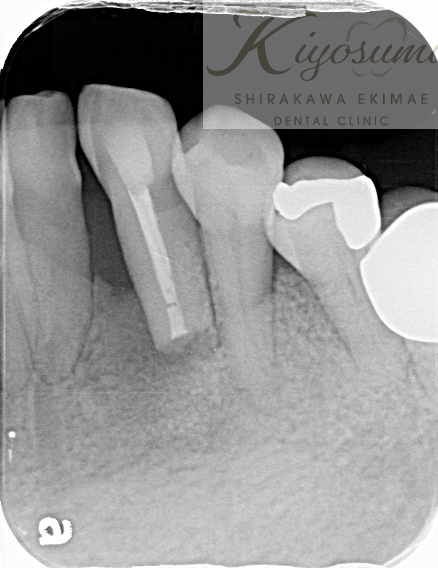 清澄白河駅前歯科クリニック