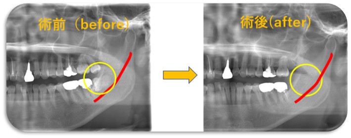 歯科クリニック中村photo