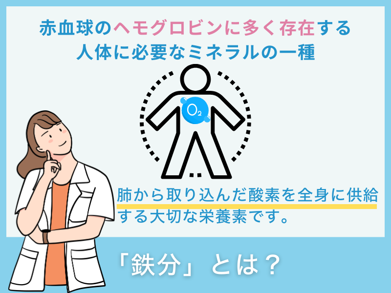 「鉄分」とは？