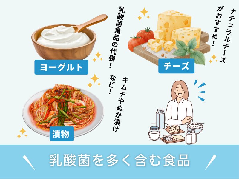 乳酸菌を多く含む食品