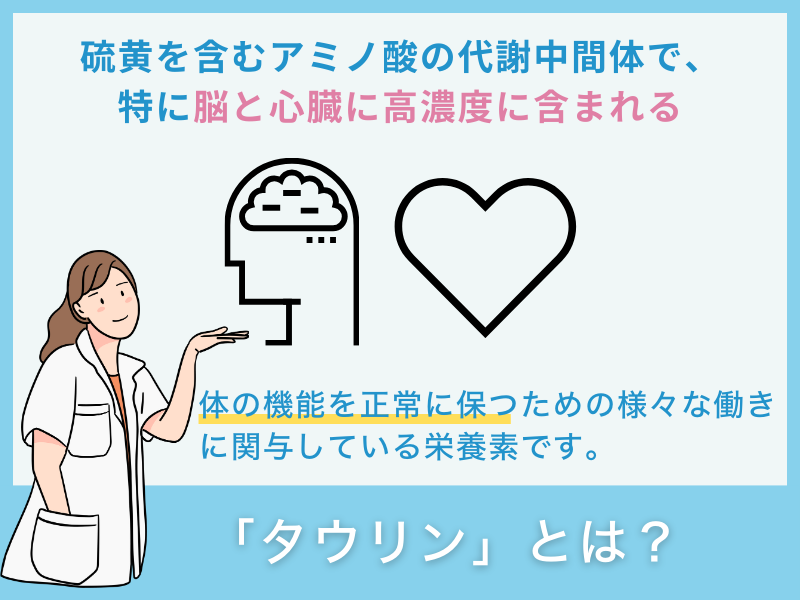 「タウリン」とは？