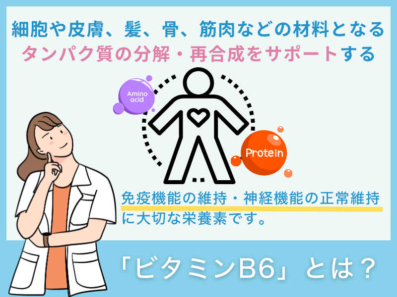 「ビタミンB6」とは?
