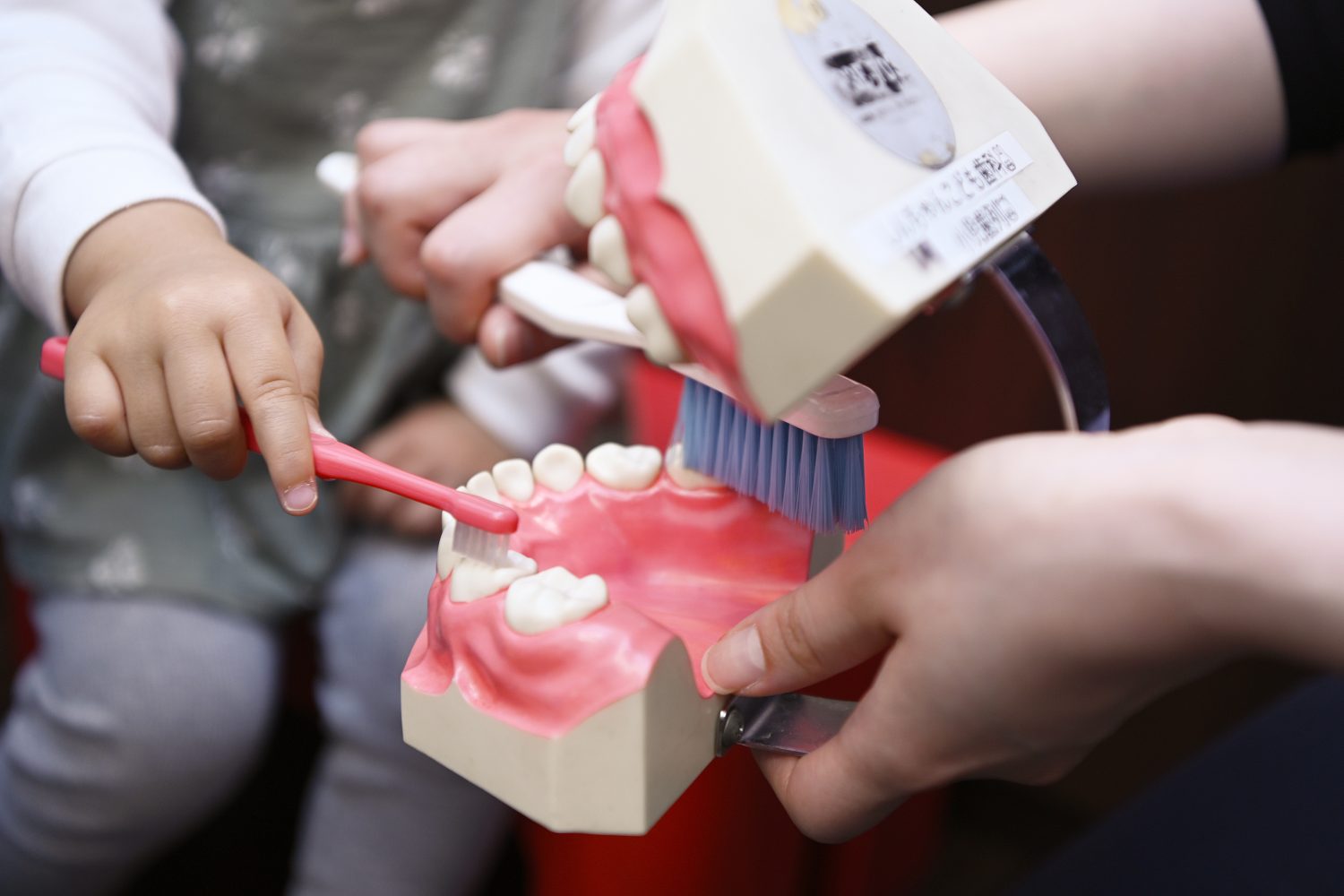 医療法人BEACH PARK しんちゃんこども歯科photo