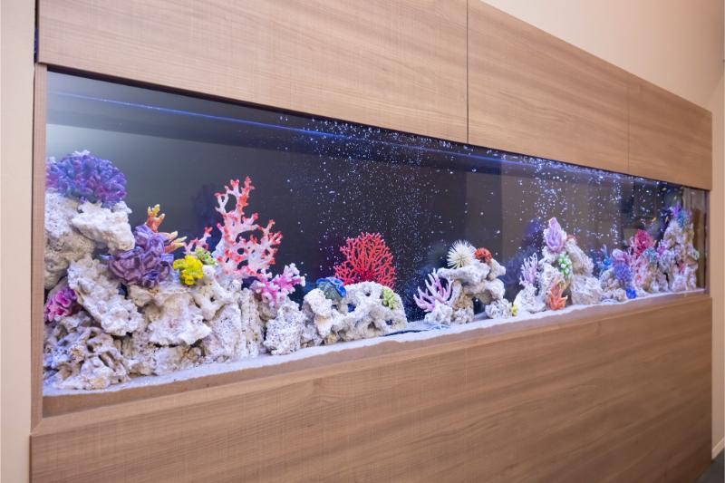 藤岡デンタルクリニックphoto