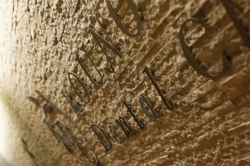 こうの歯科医院