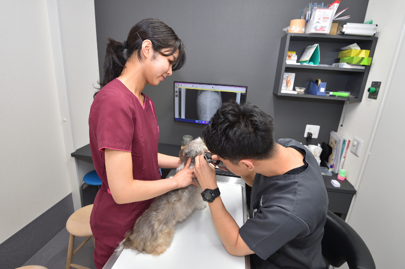 ラミナ動物病院photo