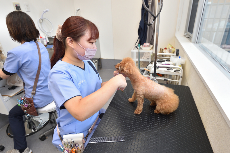 ラミナ動物病院photo