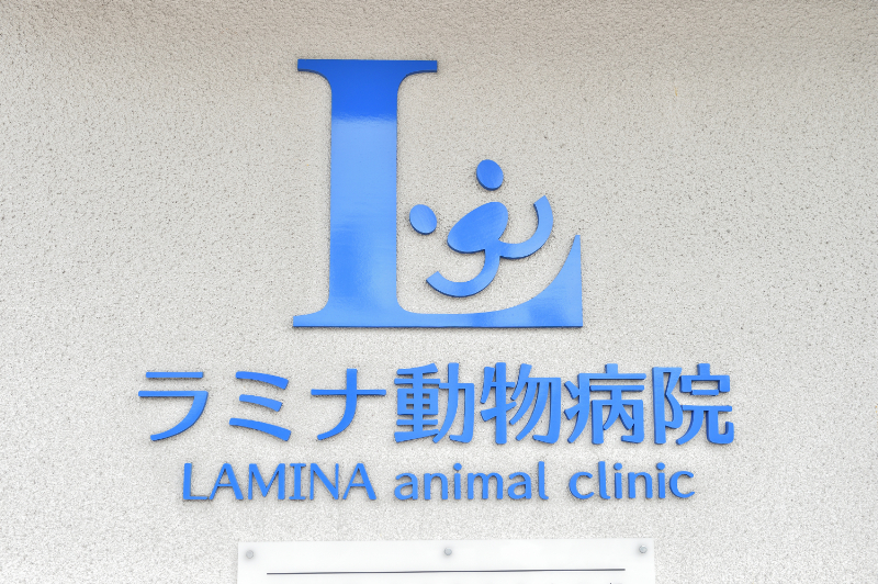 ラミナ動物病院photo