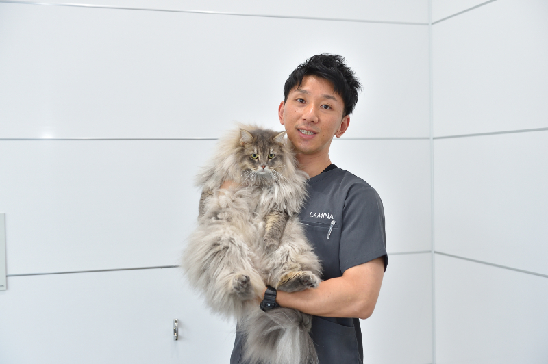 ラミナ動物病院photo