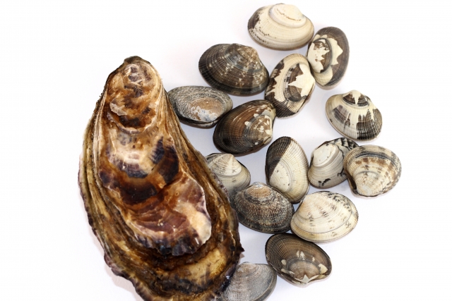 ノロウイルスの感染しやすさと感染経路