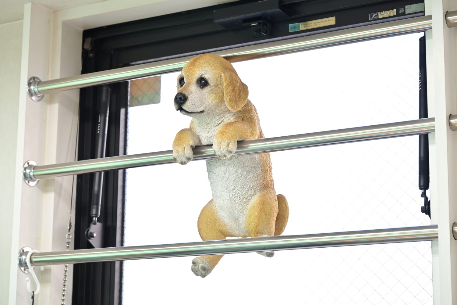 旭歯科クリニックphoto