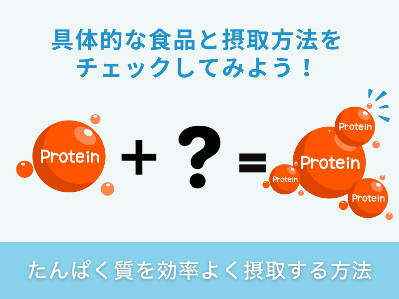 たんぱく質の効率的な摂取方法