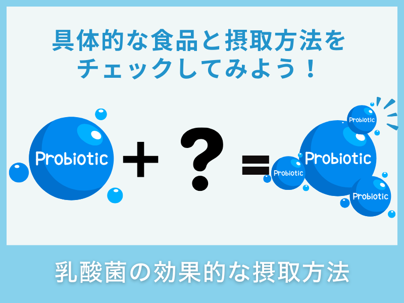 乳酸菌の効果的な摂取方法