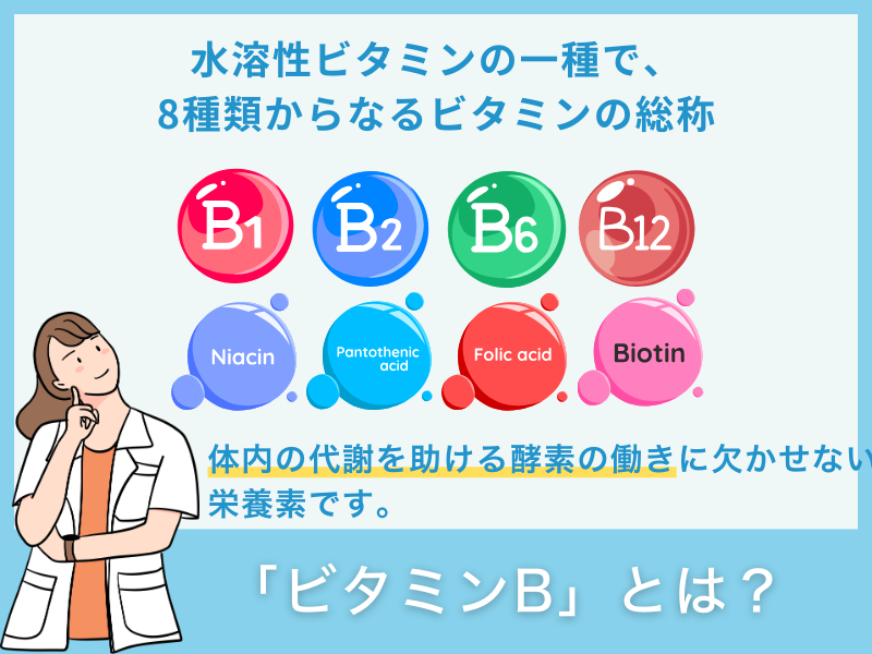 「ビタミンB」とは？