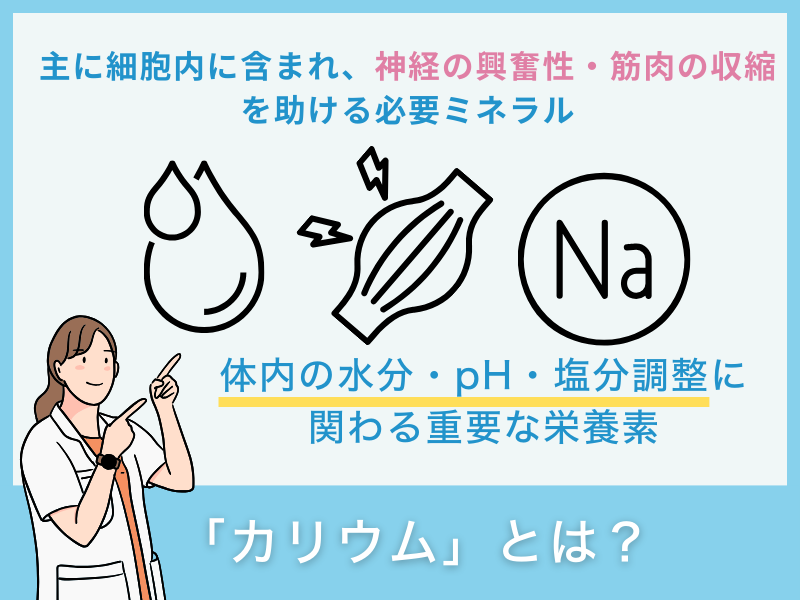 「カリウム」とは?